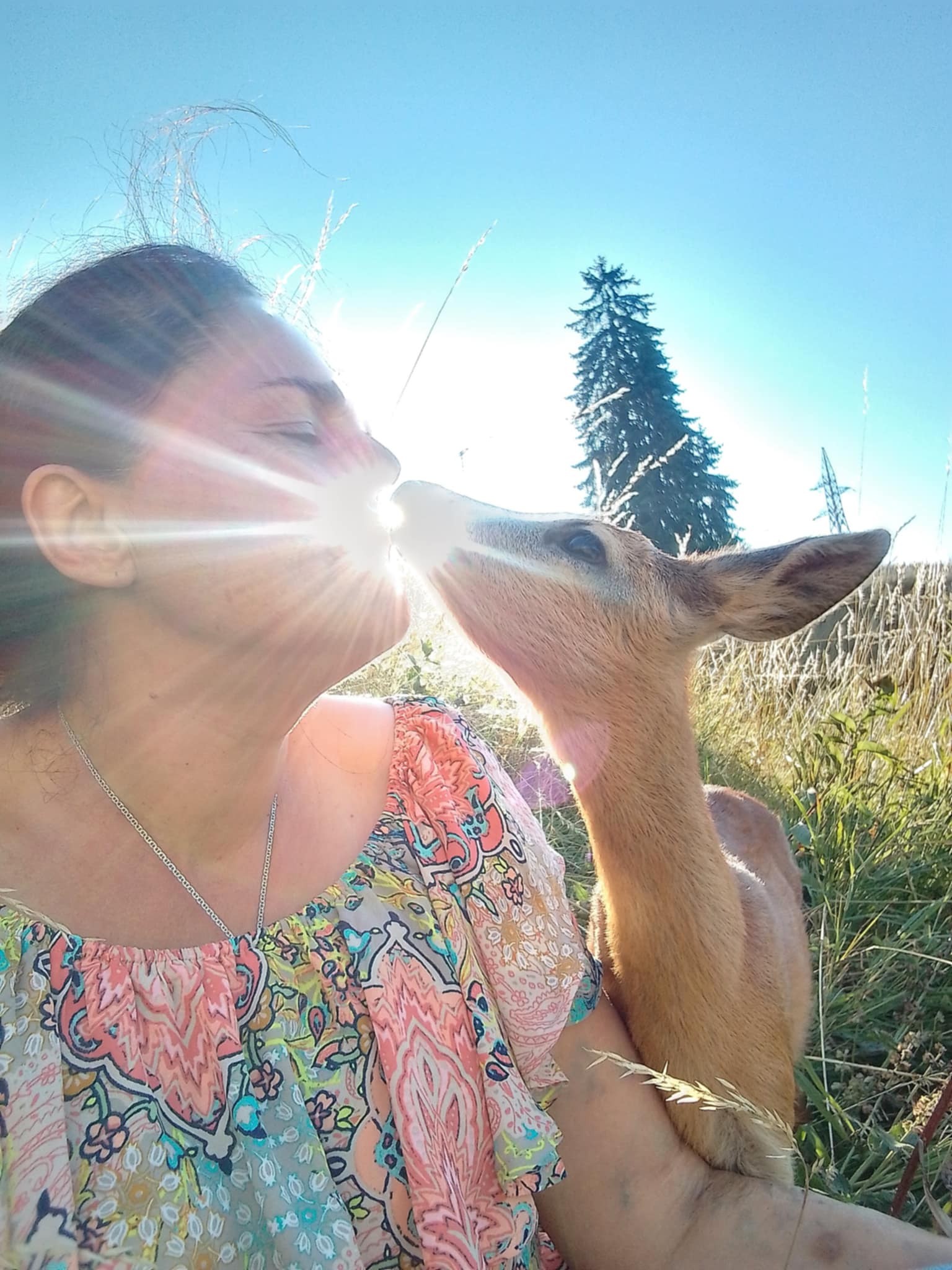 Мица Пепеланова