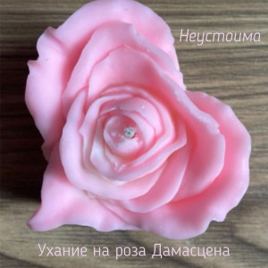 Свещ Роза Дамасцена